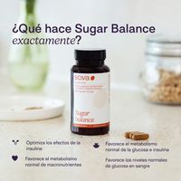 Balance Bundle - Myo D-Chiro Inositol y Raíz de Berberis
